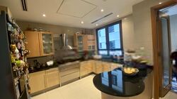 Ardmore Park (D10), Condominium #549973691